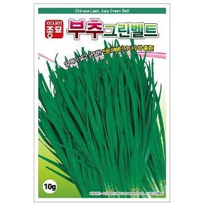 부추씨앗종자 아시아그린벨트(10g/20g/450g)