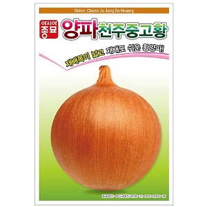 양파씨앗종자 천주종고황(2.5g/100g)