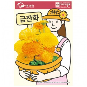 꽃씨앗종자 금잔화(500립)